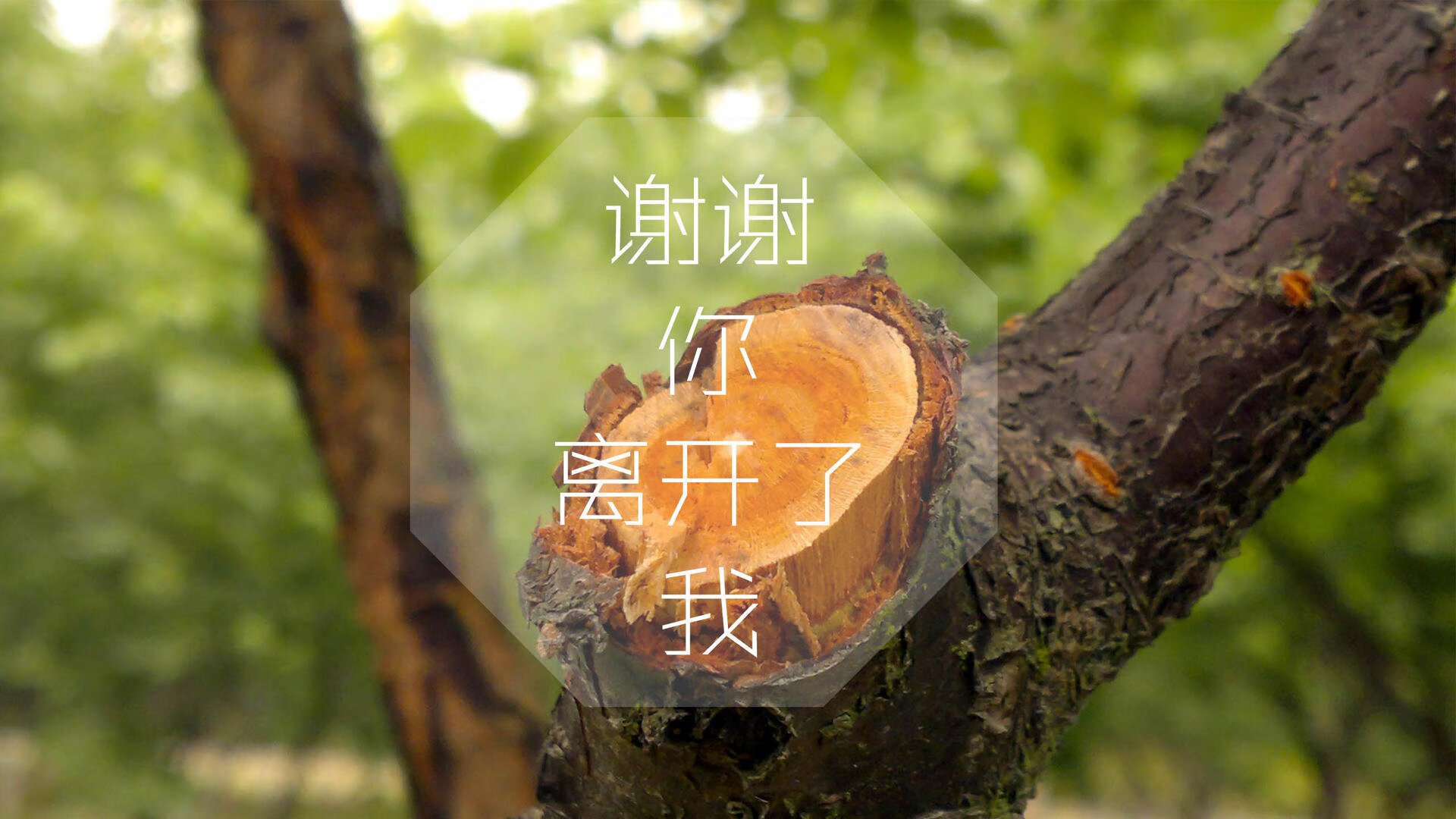 法甲精彩片段，专家讲解战术变化如何实现攻防高效转换，法甲缩减