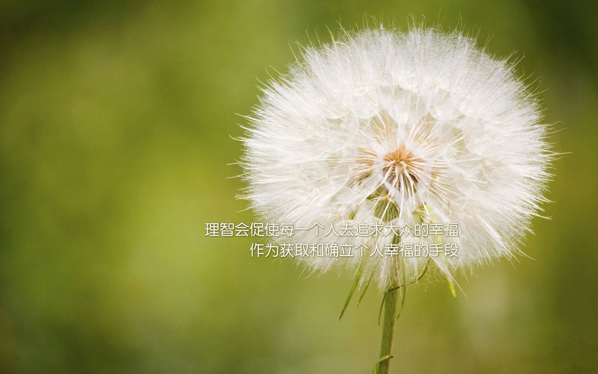 皇马逆转巴萨，晋级欧冠四强，皇马和巴萨欧冠赛场上对阵过几次