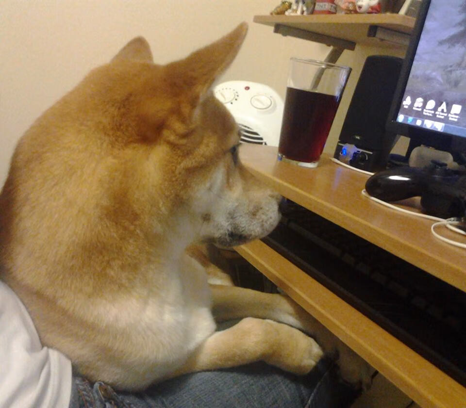 乌迪内斯客场击败桑普多利亚，德保罗建功制胜，乌迪内斯比赛推迟