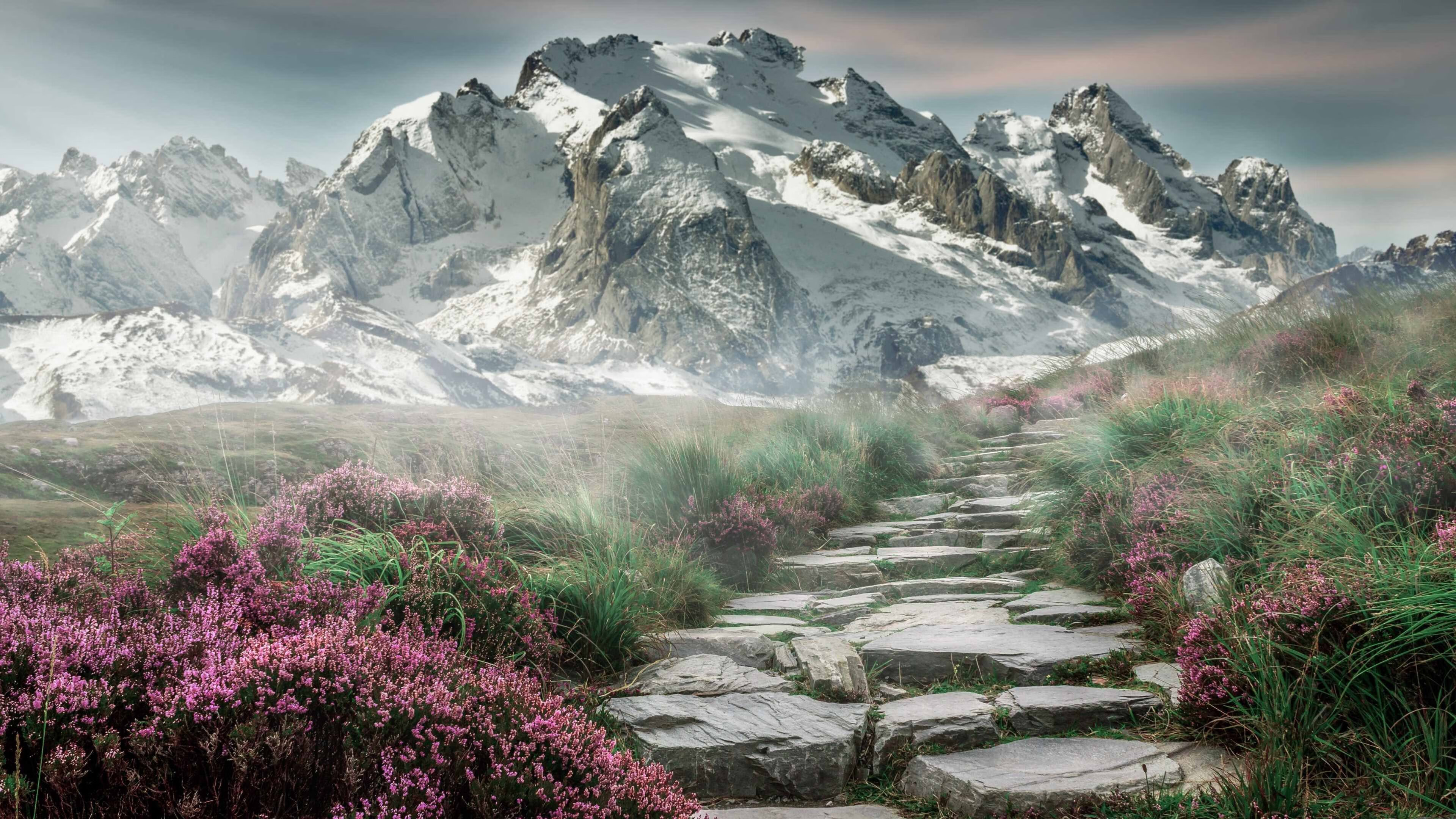 埃弗顿主场战斯旺西,要塞蓝军守住荣誉,埃弗顿队