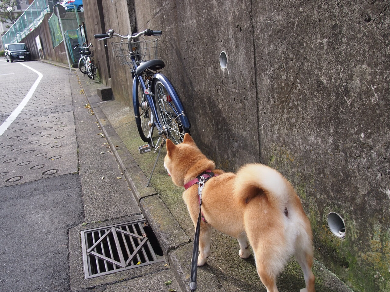 尤文图斯客场战平AC米兰保持不败，尤文图斯vs ac米兰今晚直播
