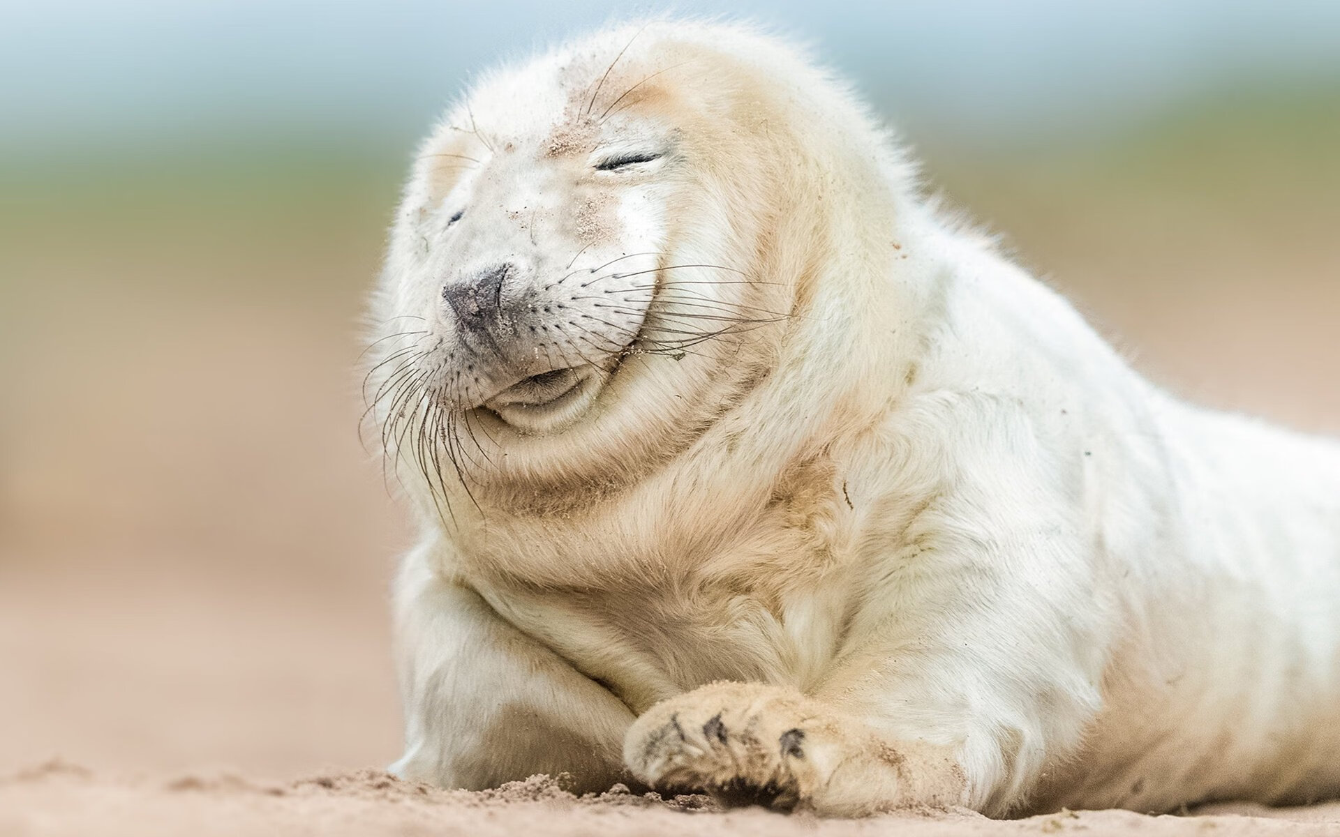 开云官方-浙江广厦球队攻防转换效率大幅提升，浙江广厦球队球员介绍