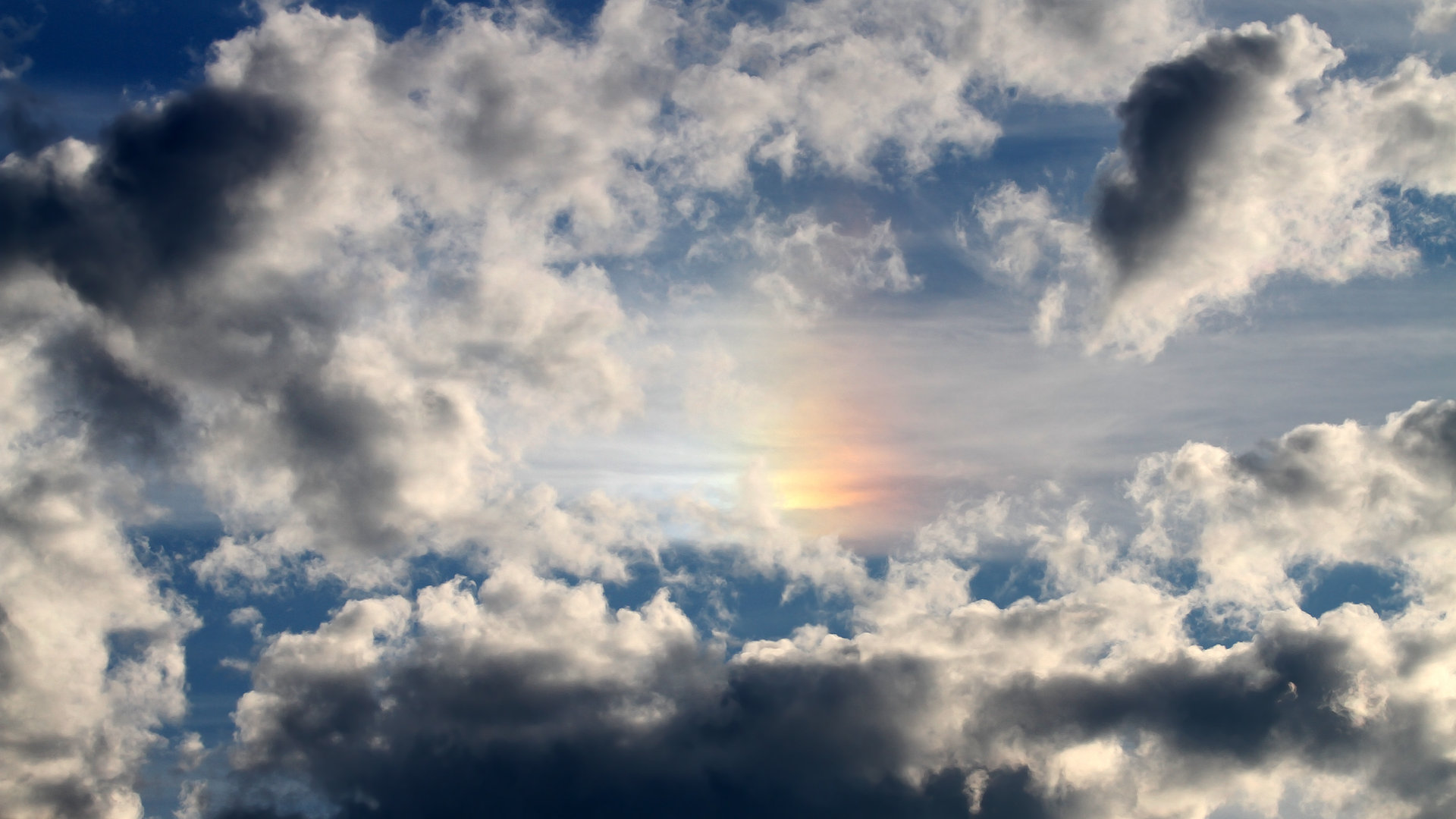 kaiyun网站-激烈马术冠军争夺战打响，马术 冠军