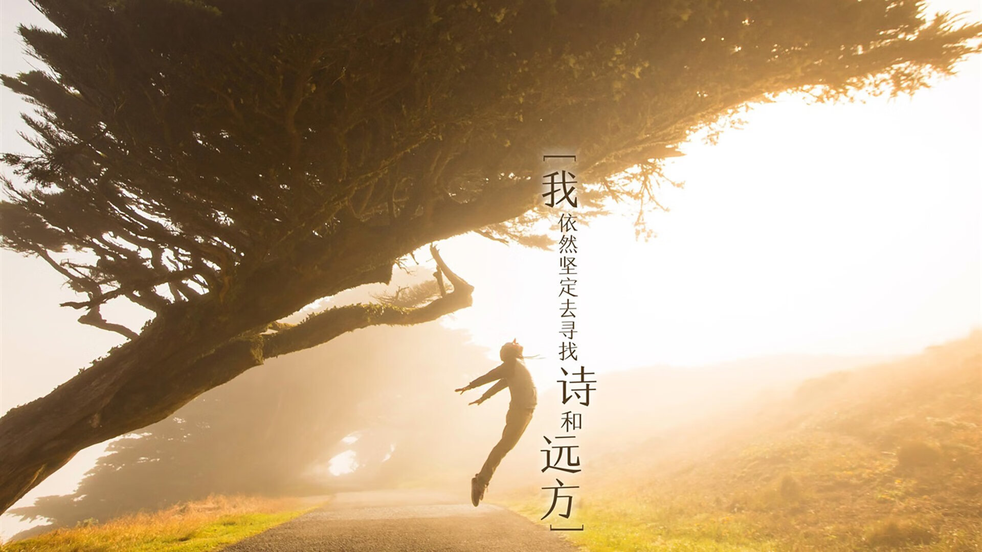 阿森纳3-0诺里奇,进攻端火力全开,阿森纳对诺维奇比分