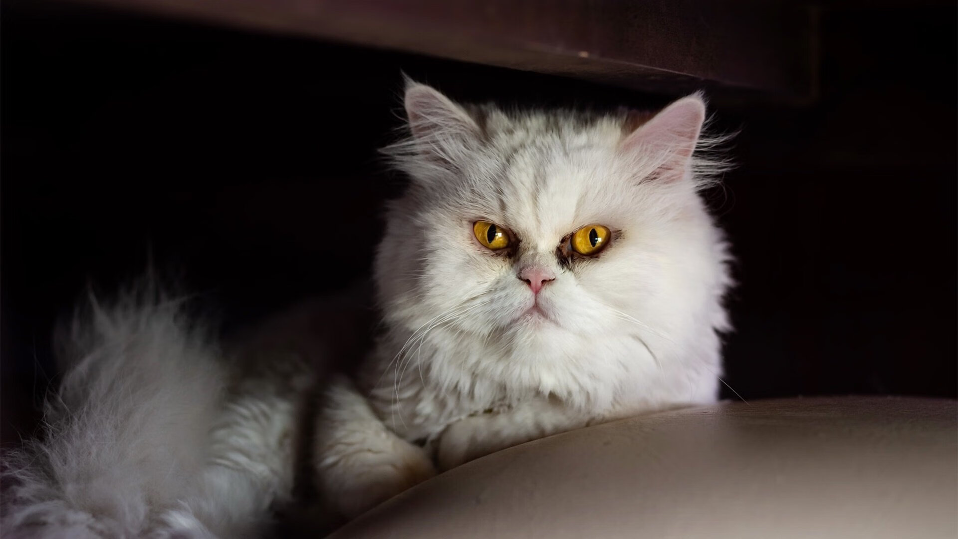 马洛卡客场不敌巴塞罗那，遭遇连败，马洛卡vs西班牙人比赛预测