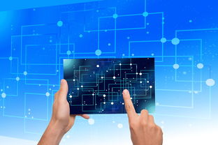 开云体育中国官网-中国篮球教练员战术执行力提升路径及方法研究，如何提高篮球教练员水平