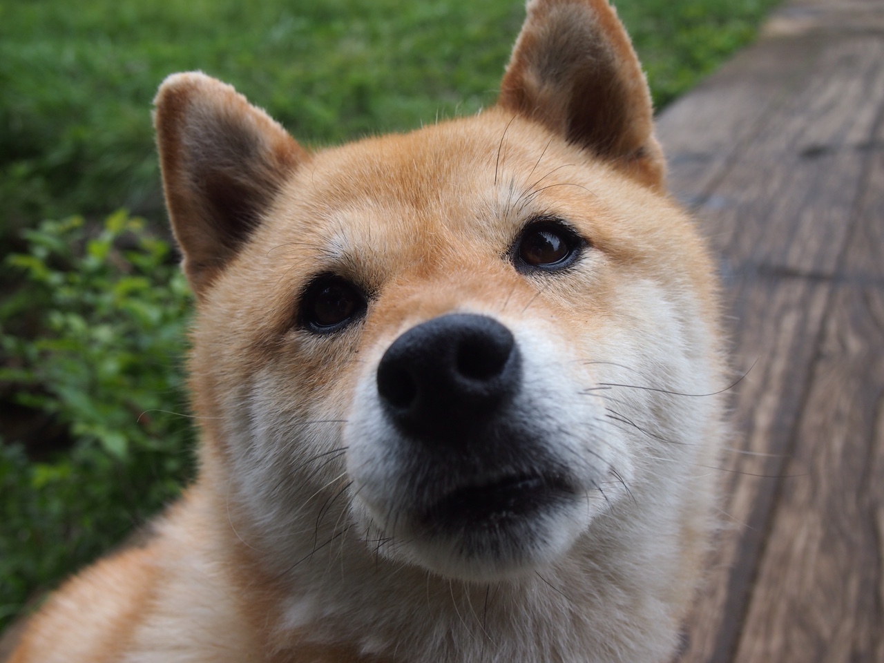 篮球运动员专项体能训练技术创新及实践应用研究,篮球运动员体能训练计划