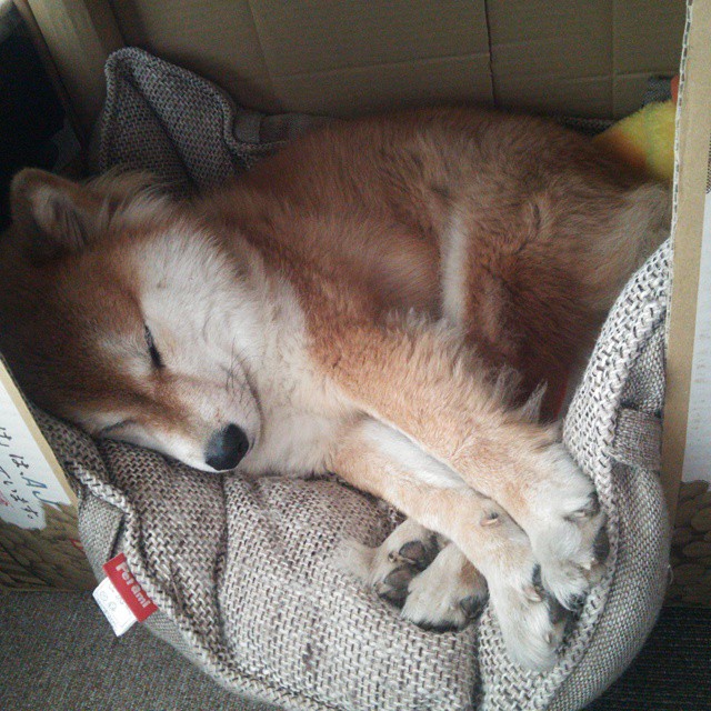 运动康复中心标准化管理方案,运动康复中心设计