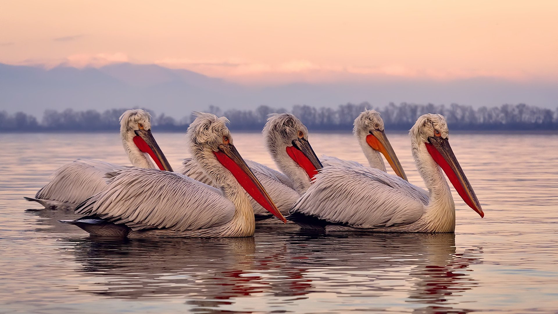 开云-“沙滩手球：天府新区赛场，冲刺与反转并存”