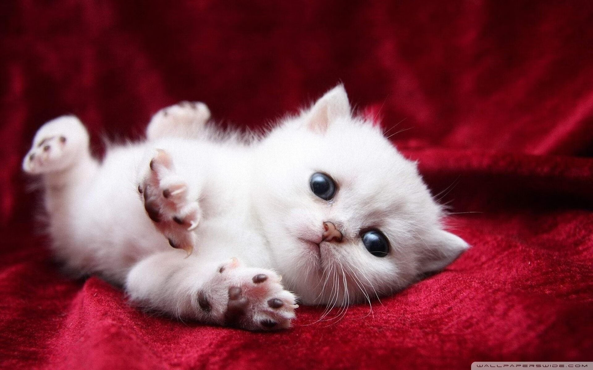 开云官网-博卡青年高位逼抢未见成效，博卡青年10号都有谁