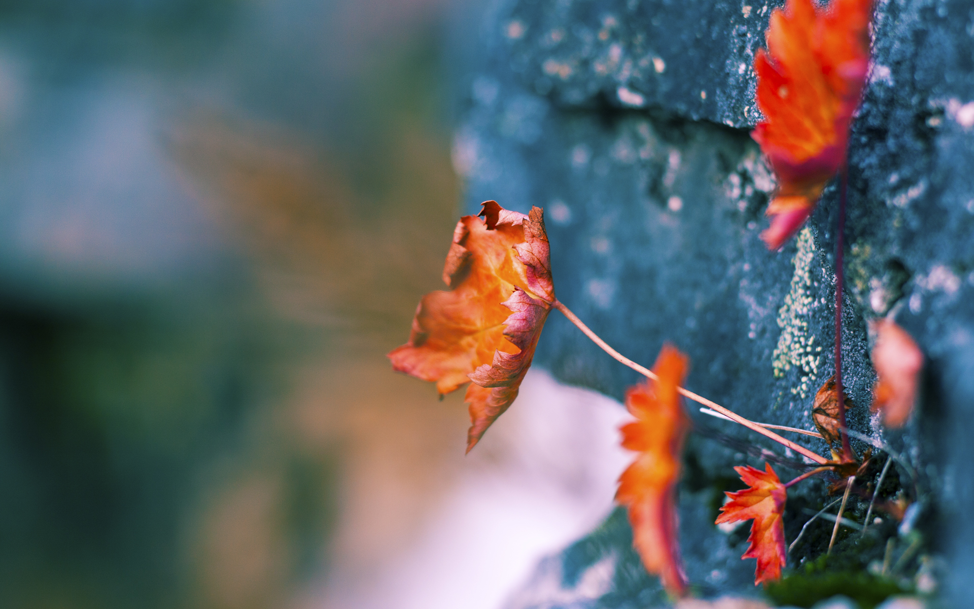 开云中国-国家队选人标准为何长期苍白无力，国家队怎么挑人