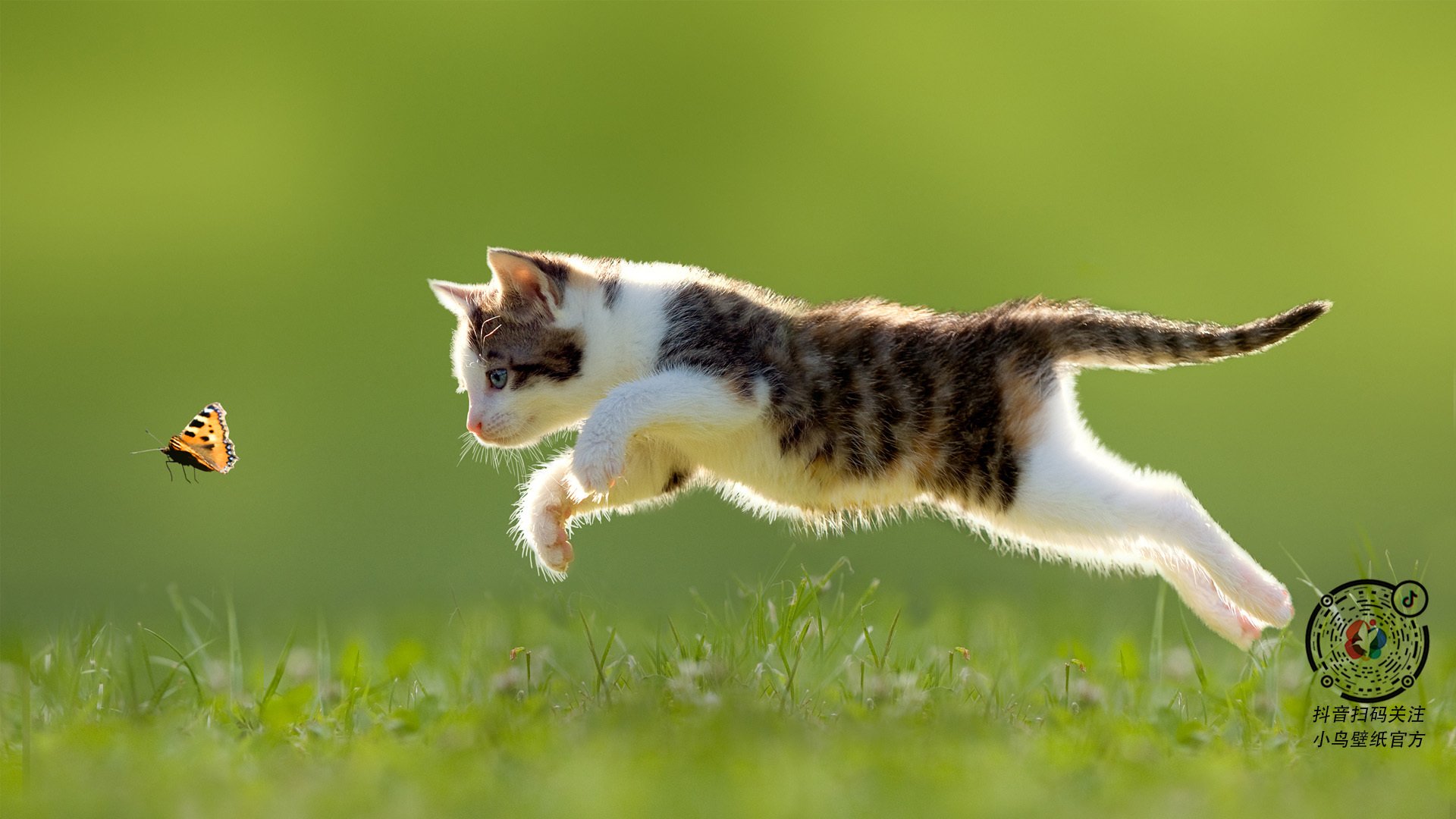 开云全站-新疆男篮内部竞争激烈激发球员最大潜能，新疆男篮现状