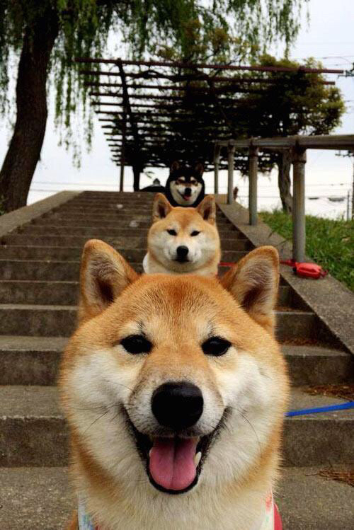 马拉松赛后恢复站点设置获选手一致好评，马拉松恢复训练计划