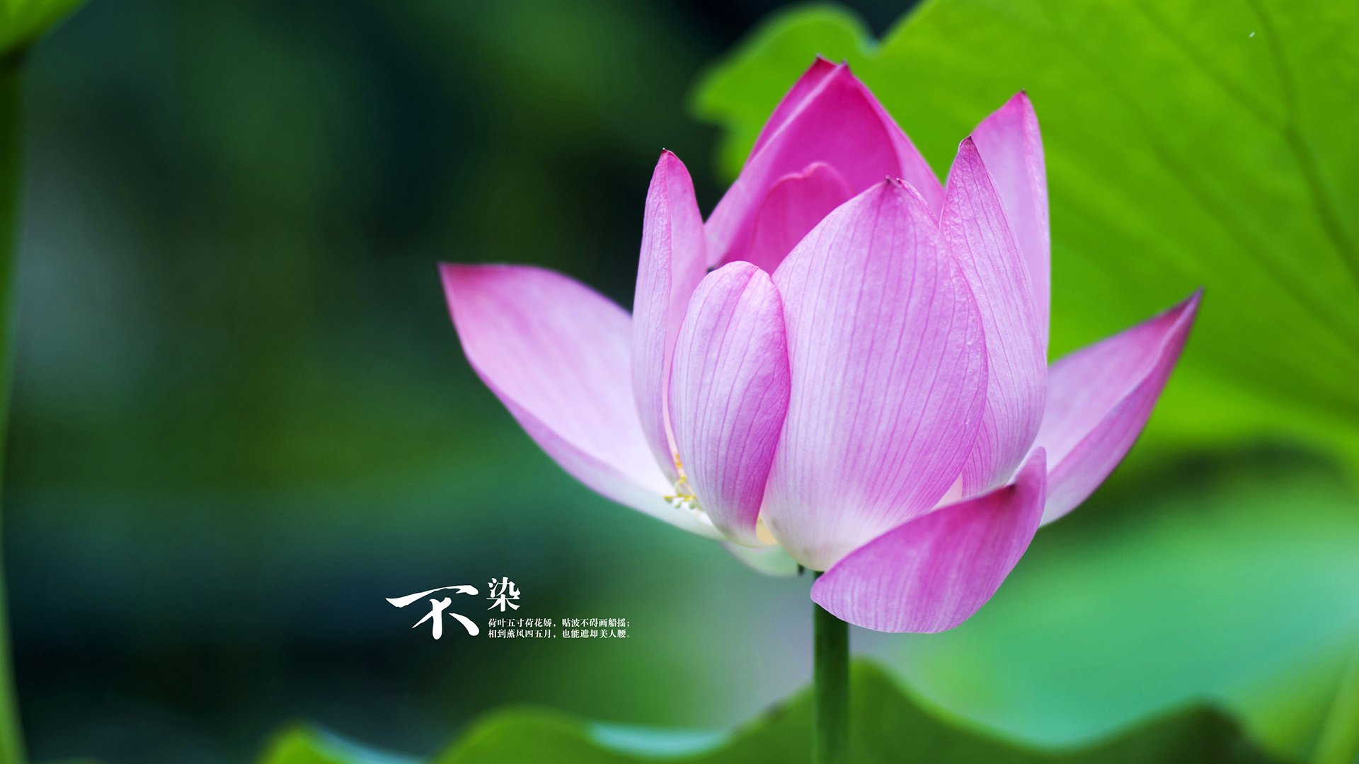 开云官网在线-中国足球国家队运动员伤病管理体系健全，足球运动员伤病率