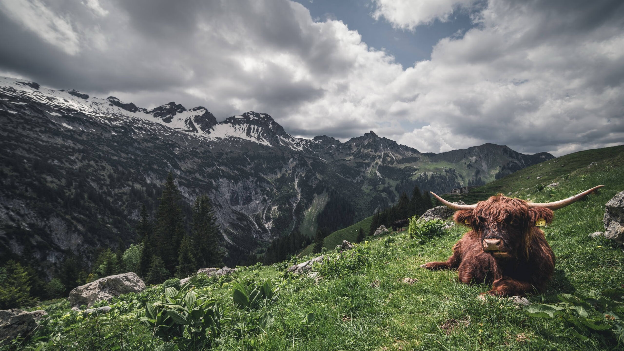 中超引入远程战术分析平台支持教练实时决策，中超远射排名