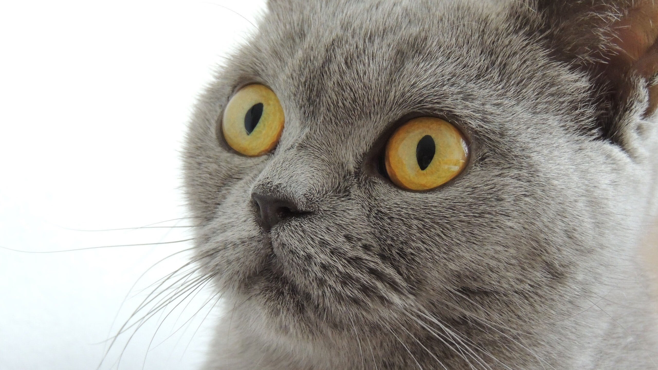 kaiyun.com-皇马青训新星崭露头角，被寄予厚望