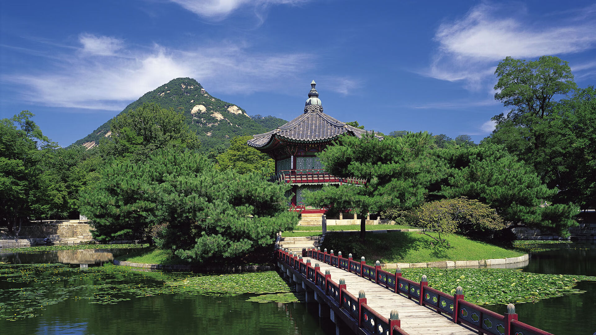 kaiyun中国官方网站-维尔·冯·威克：暴力冲撞与精准配合，让南非队的进攻无懈可击，维尔纳冯勃洛姆堡