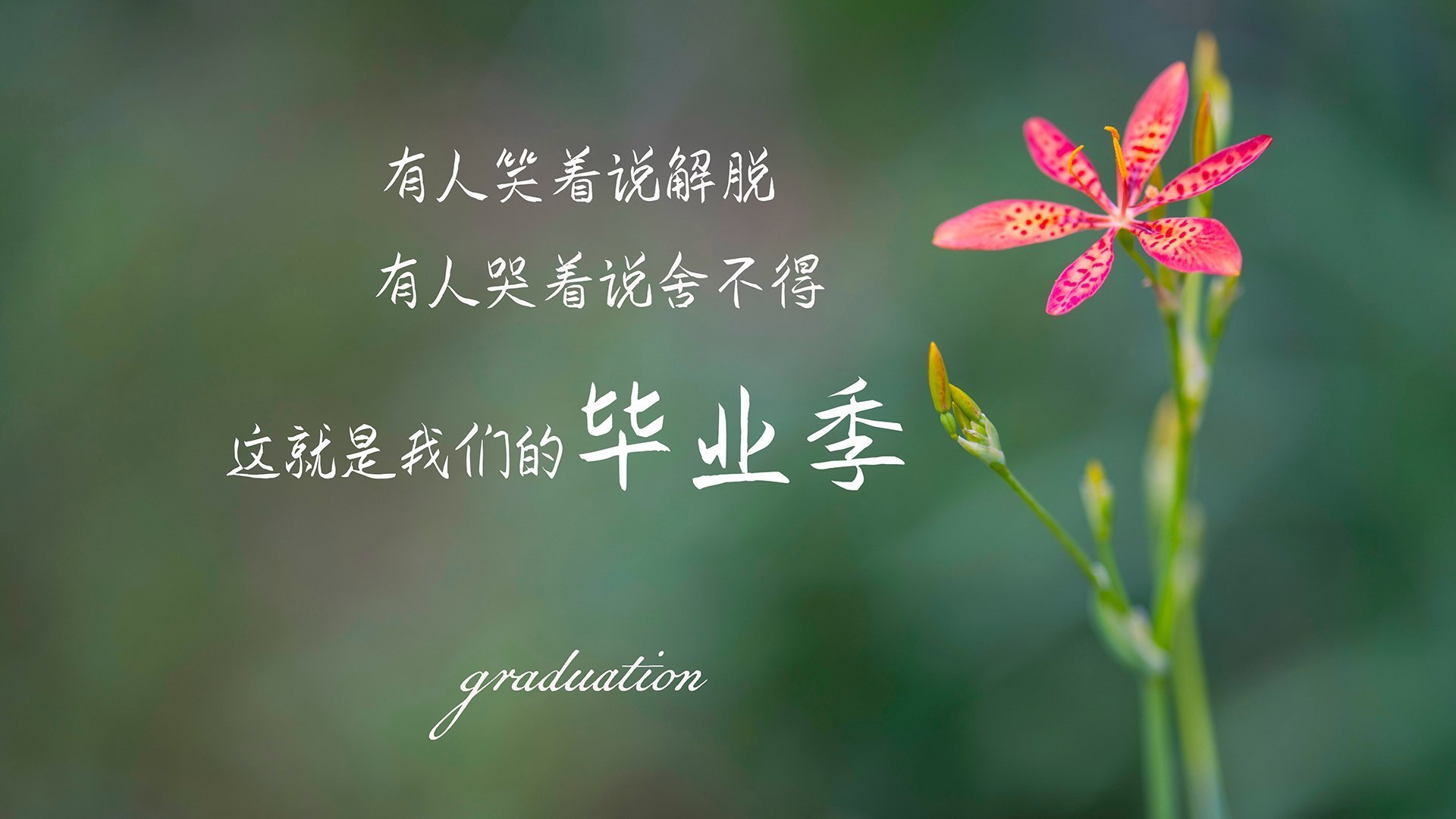 开云·体育官方网站入口-美洲杯逆境崛起：英雄辈出成就奇迹！，美洲杯 百科