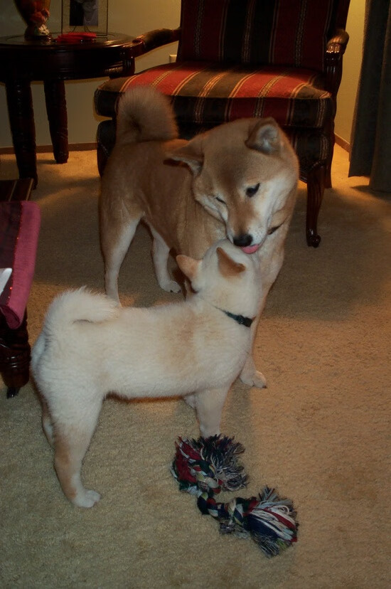 职业俱乐部建立球员内部评优机制激发训练积极性，优秀俱乐部评选标准